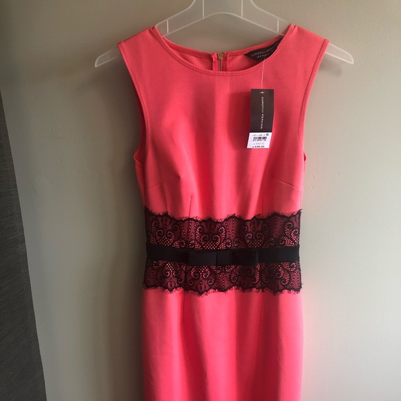 Brand New Dorothy Perkins dress - Picture 1 of 1